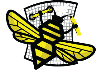 The Screen Bee Logo