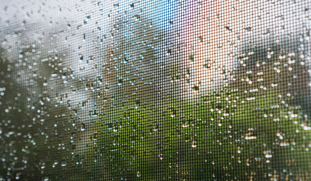 The Unsung Heroes of Home Comfort: Window Screens